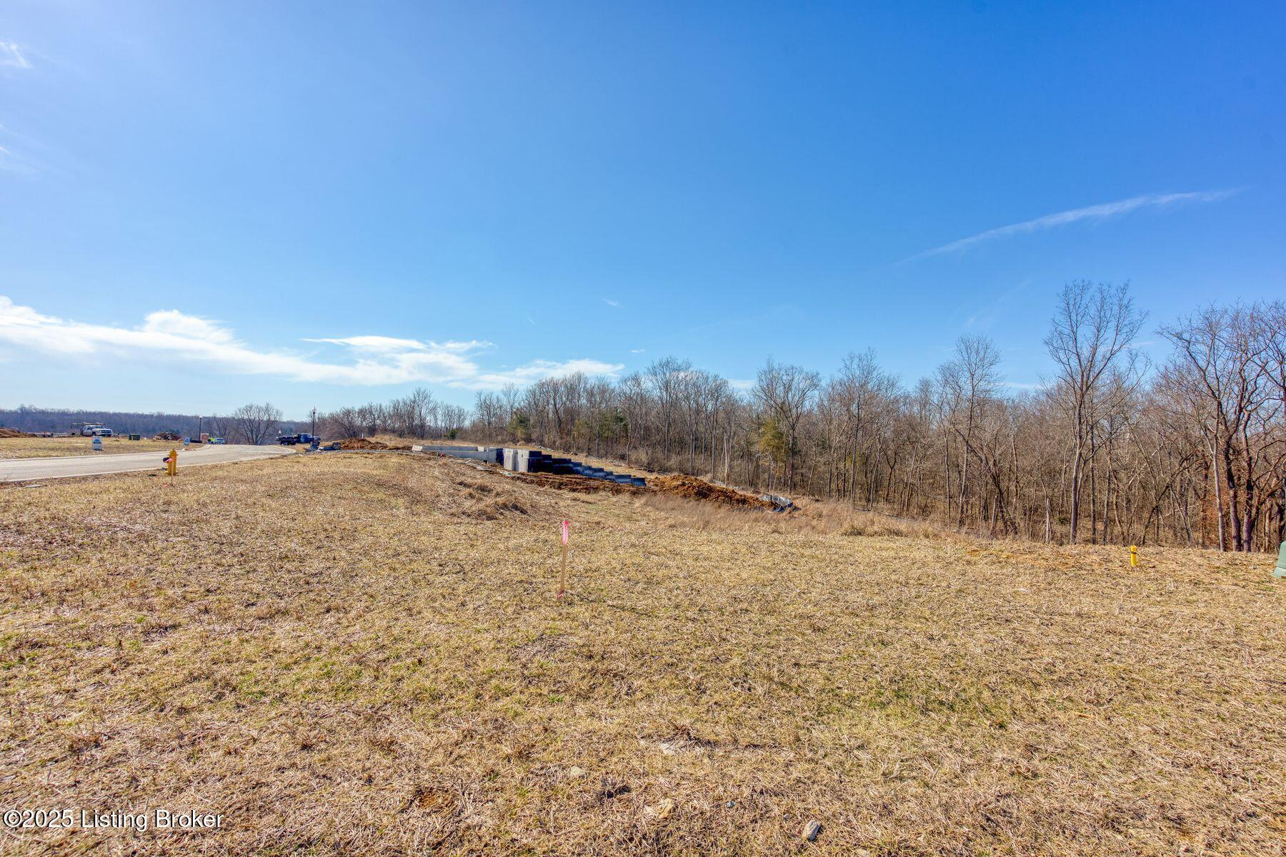 244 Catalpa Leaf Way, Fisherville, Kentucky image 9