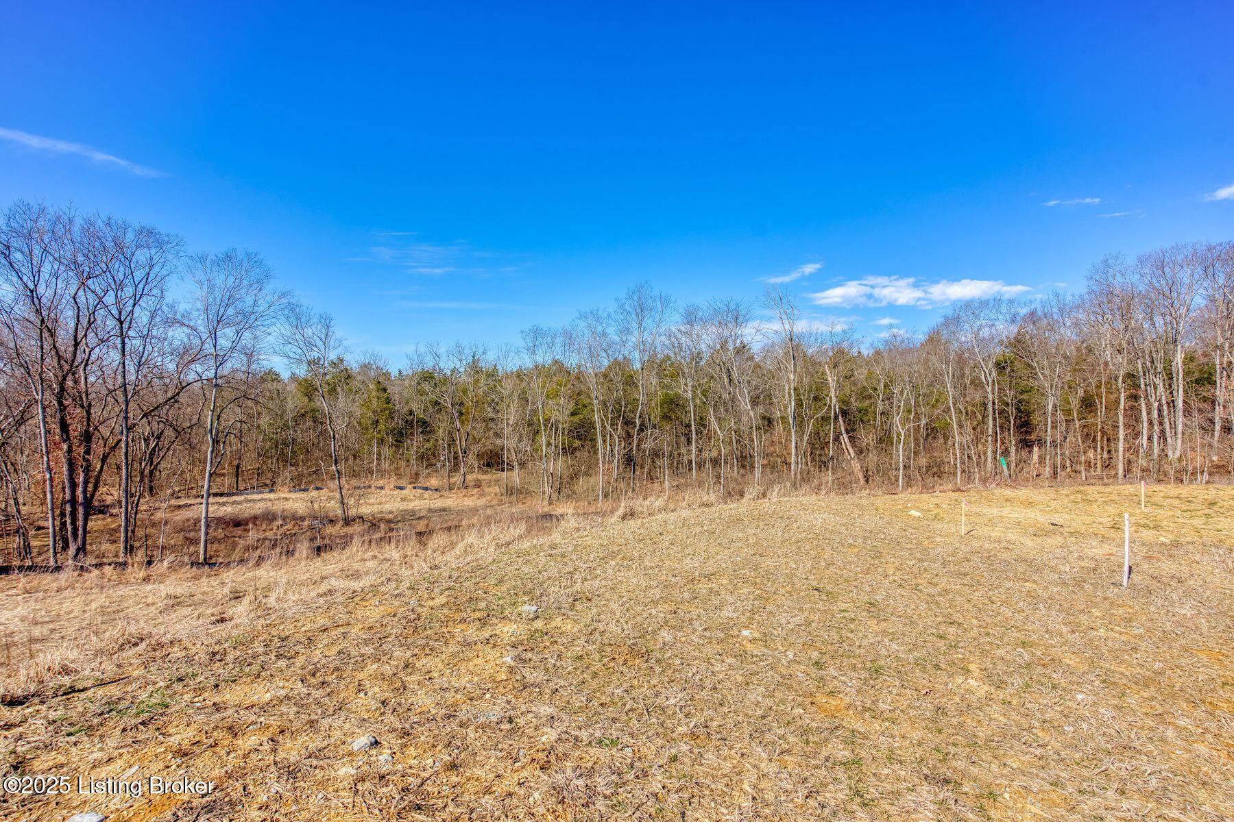 244 Catalpa Leaf Way, Fisherville, Kentucky image 8
