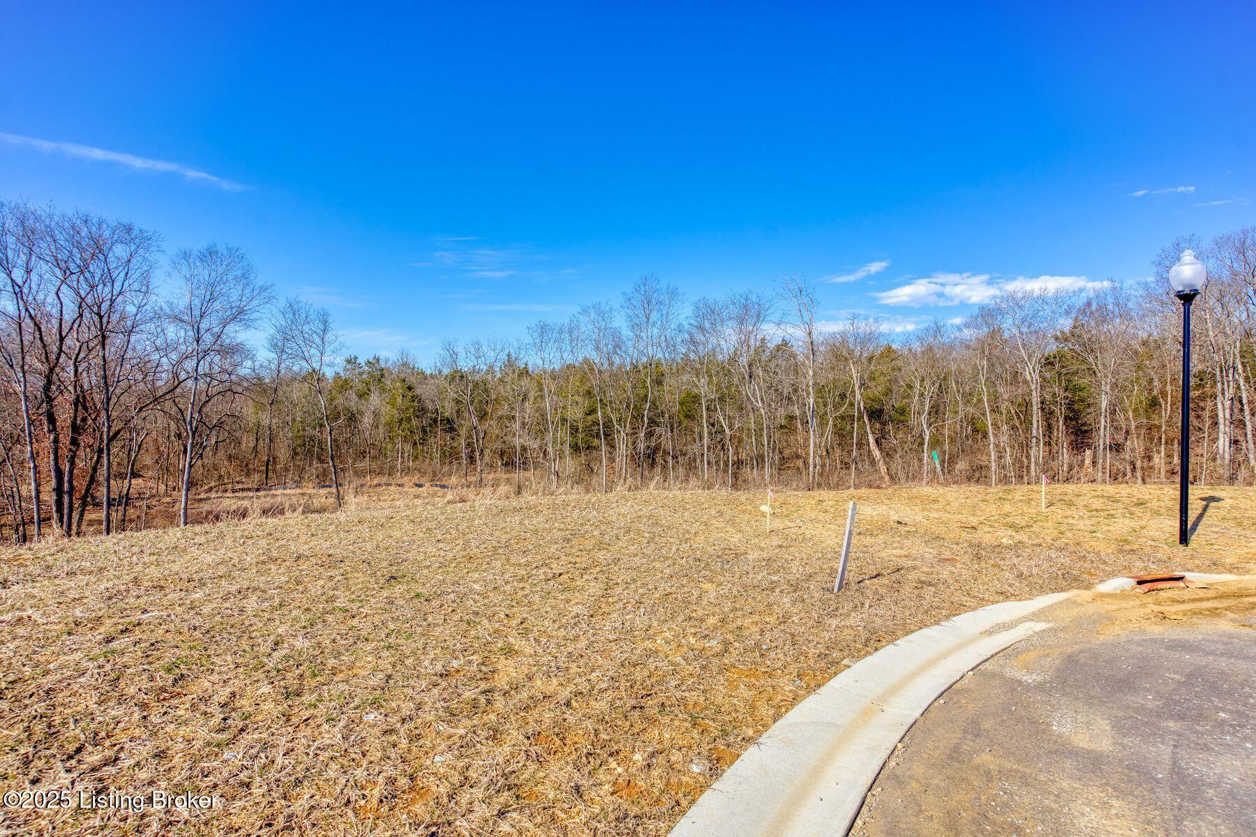 244 Catalpa Leaf Way, Fisherville, Kentucky image 7