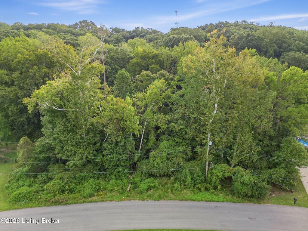Photo of 6403 Oak Valley Dr, Louisville, KY 40214 (MLS # 1730315)