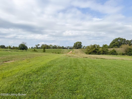 1469 HANNAH RD, SHELBYVILLE, KY 40065 - Image 4c72fe008a6c5ec0f93a485040feee21/2298933141
