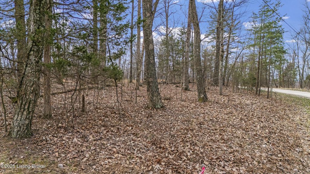 Photo of 0000 Ponderosa Pl, Shepherdsville, KY 40165 (MLS # 1712141)