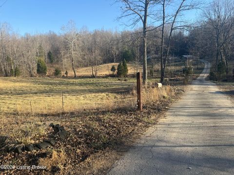 Photo of 11437 Highway 629 Rd, Falls Of Rough, KY 40119 (MLS # 1710167)