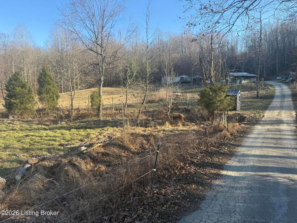 Photo of 11437 Highway 629 Rd, Falls Of Rough, KY 40119 (MLS # 1710167)