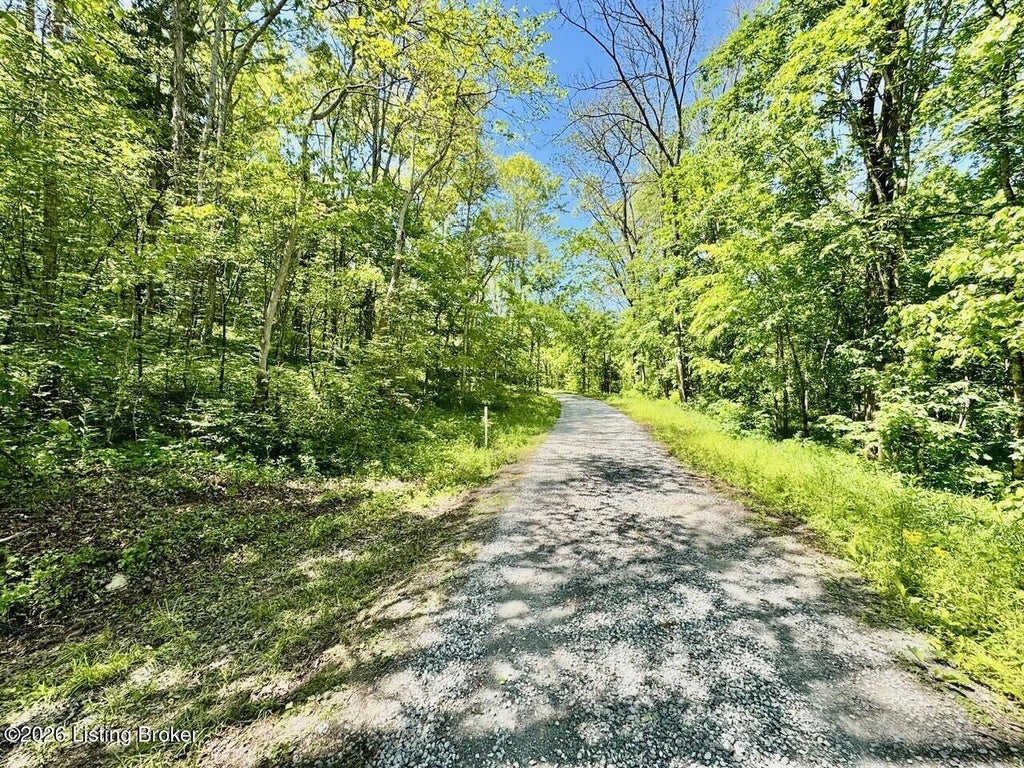 Photo of 0 Three Lick Rd, Mackville, KY 40040 (MLS # 1717008)