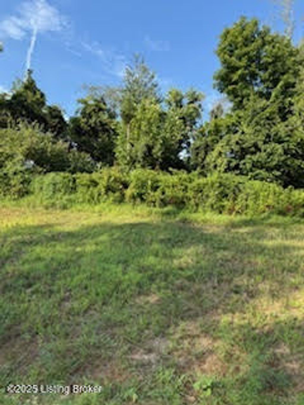 Photo of 5103 Sycamore Ridge Ln, La Grange, KY 40031 (MLS # 1695078)