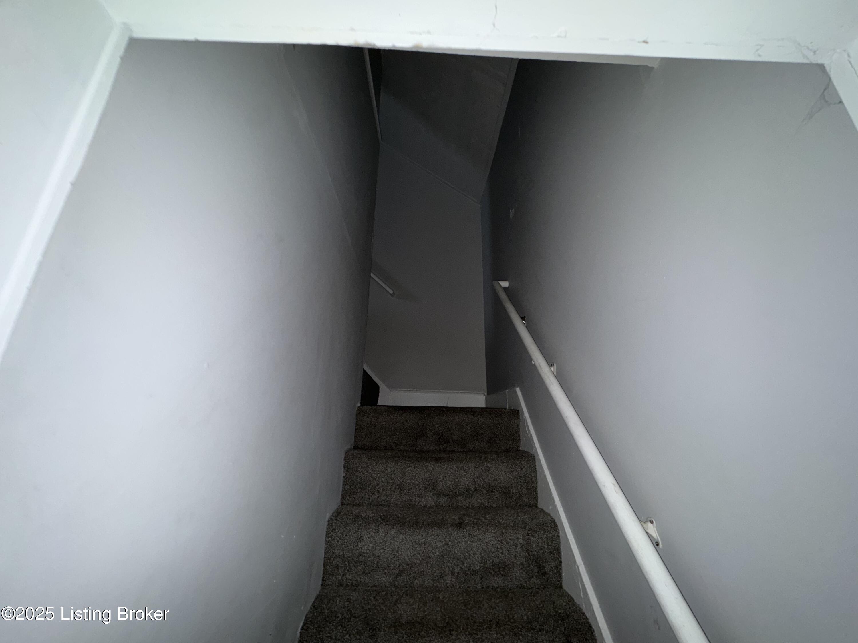 212 N 18th St, Louisville, Kentucky image 12