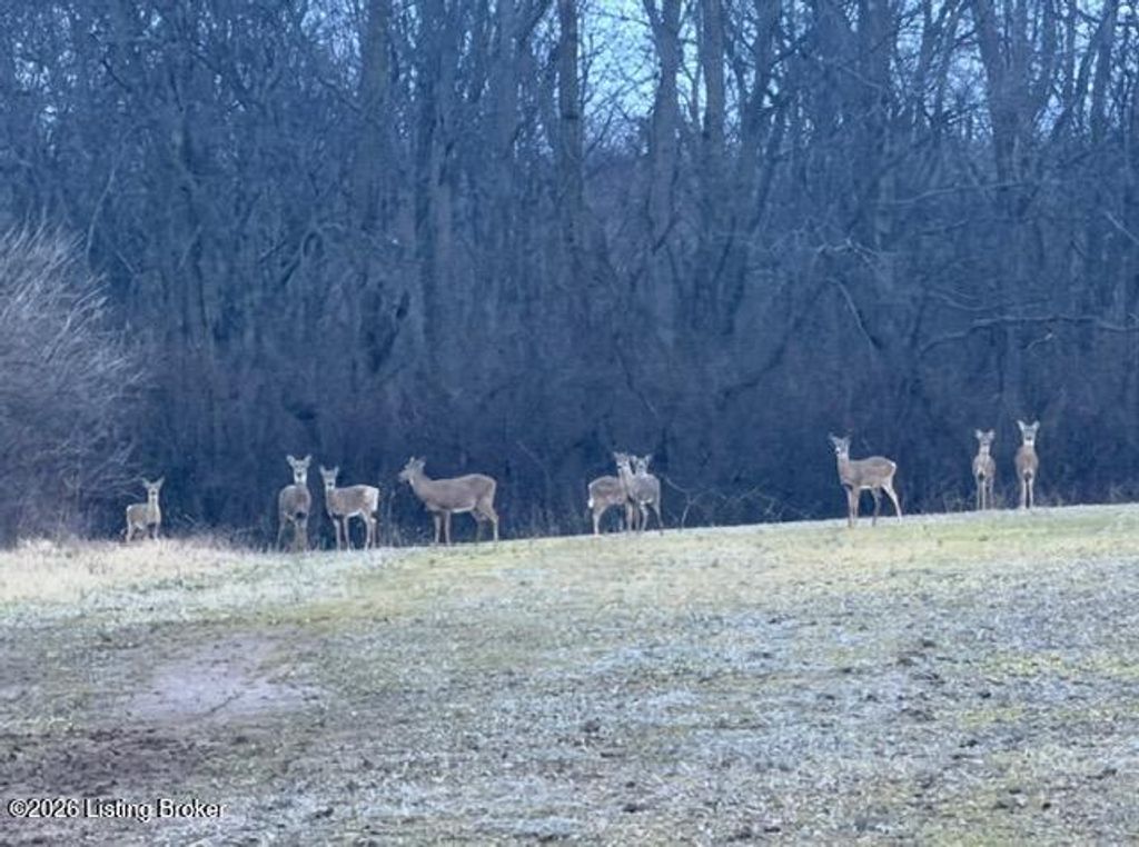 Photo of 2092 Hinkle Ln, Shelbyville, KY 40065 (MLS # 1710498)