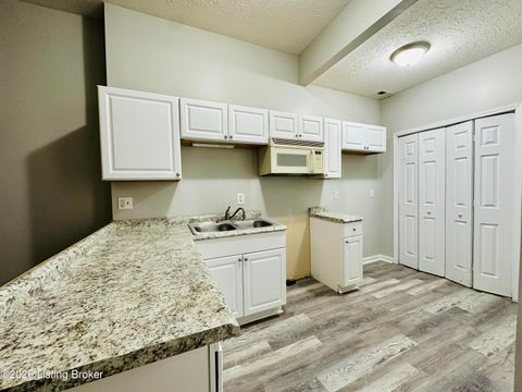 Tiny photo for 421 S 27th St, Louisville, KY 40212 (MLS # 1712334)