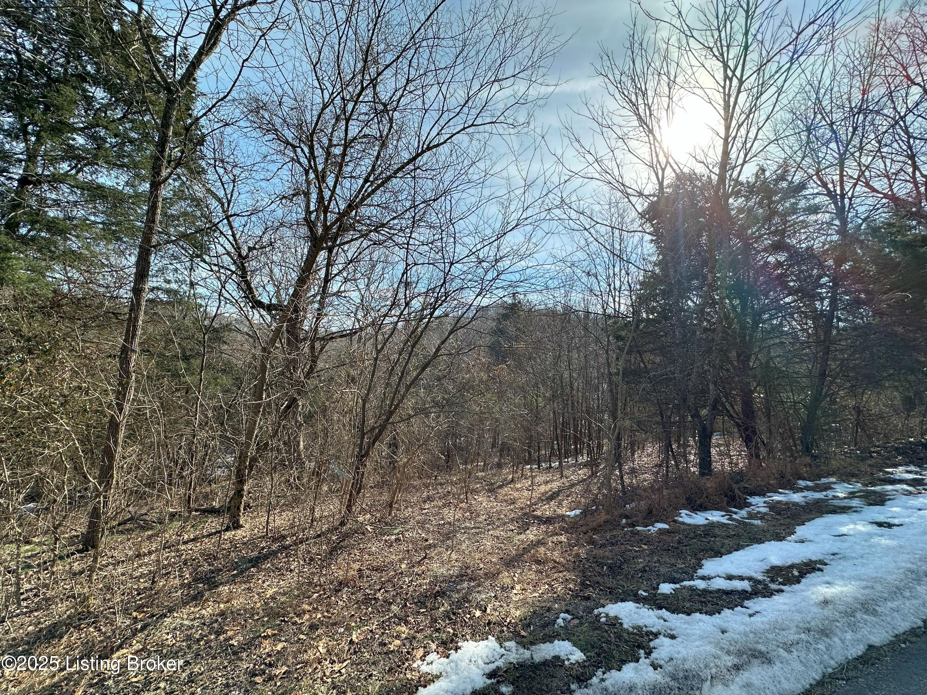 1999 Lonnie Haynes Rd, Irvington, Kentucky image 3
