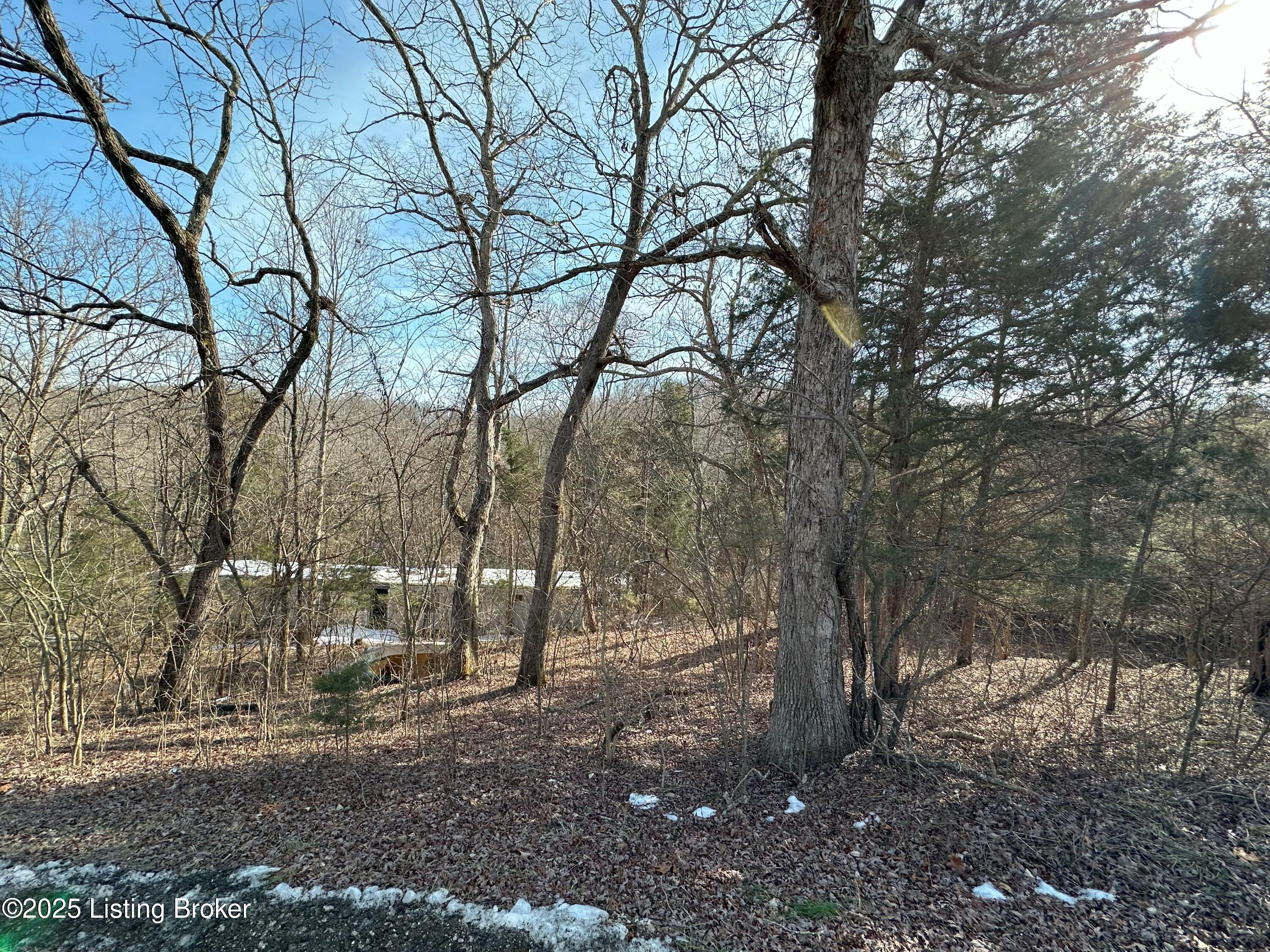 1999 Lonnie Haynes Rd, Irvington, Kentucky image 1