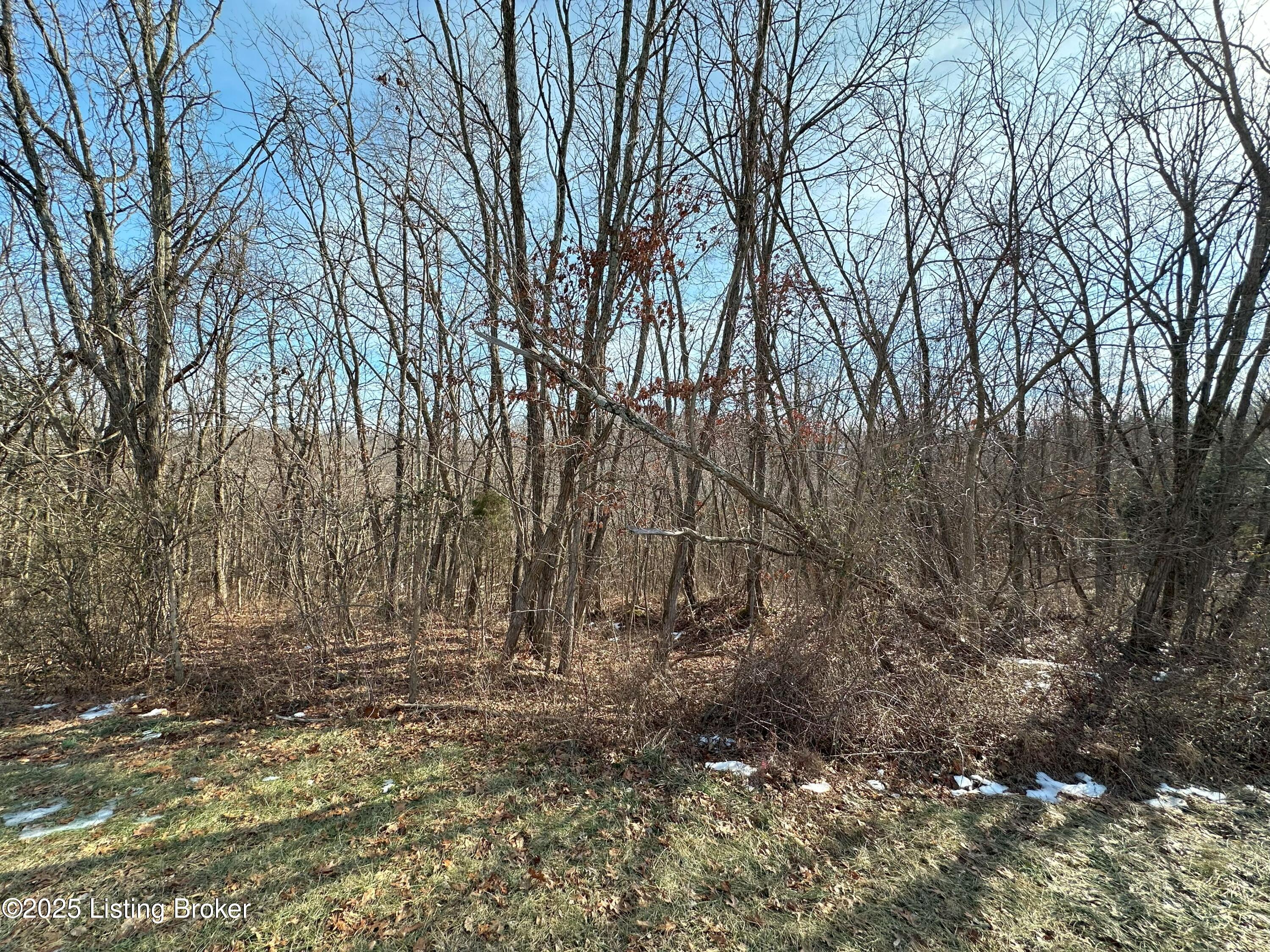 1999 Lonnie Haynes Rd, Irvington, Kentucky image 4