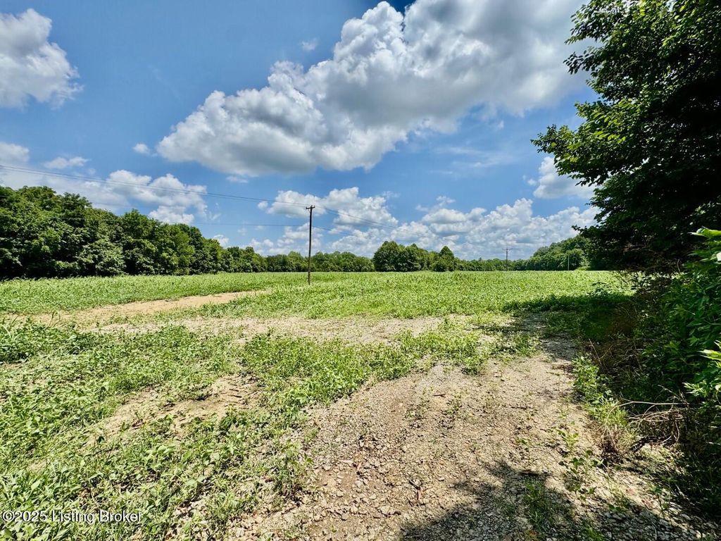 Photo of 998 Grundy Home Rd, Springfield, KY 40069 (MLS # 1708340)