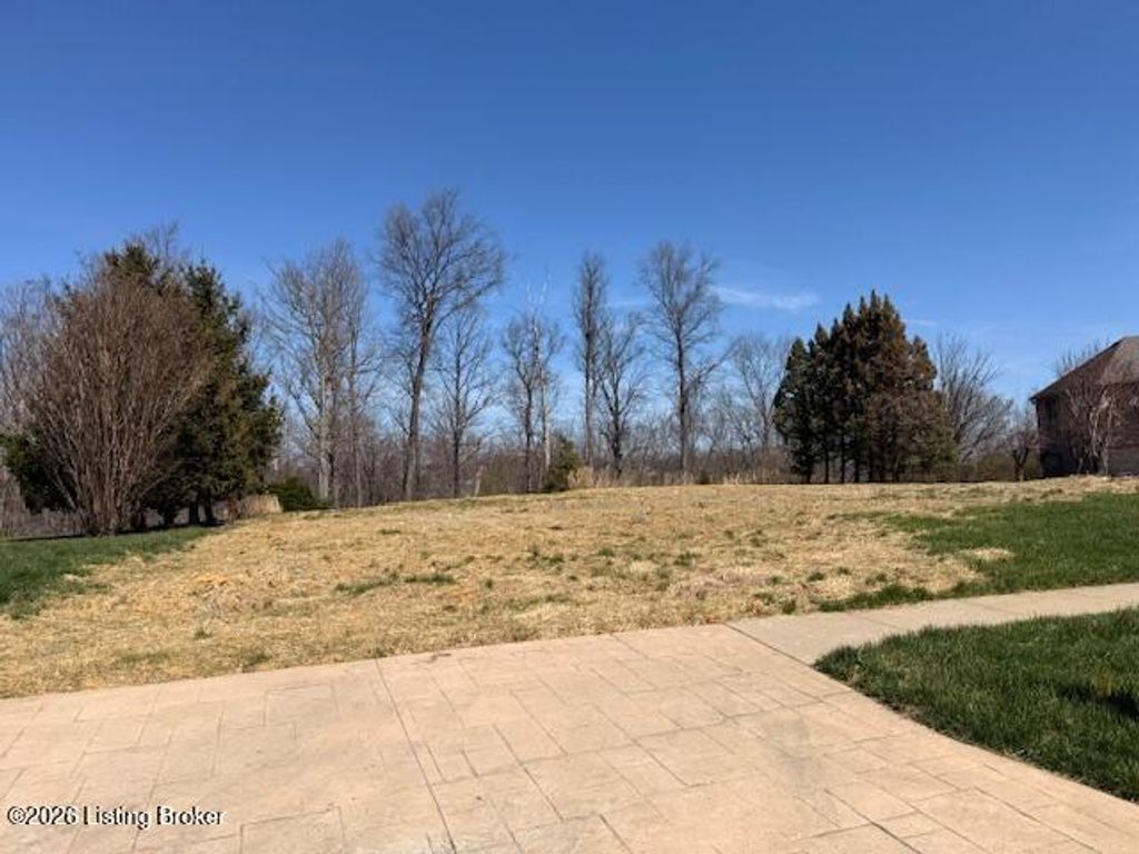 Photo of 9004 Grand Pointe Ct, Louisville, KY 40214 (MLS # 1712447)