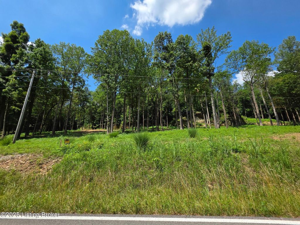 Photo of 3 Cave Creek Rd, Falls Of Rough, KY 40119 (MLS # 1707310)