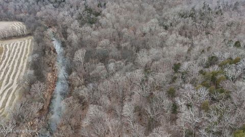 Vacant Land For Sale - 170 AC Wand Cemetery Road<br/> Bowling Green, KY 42101