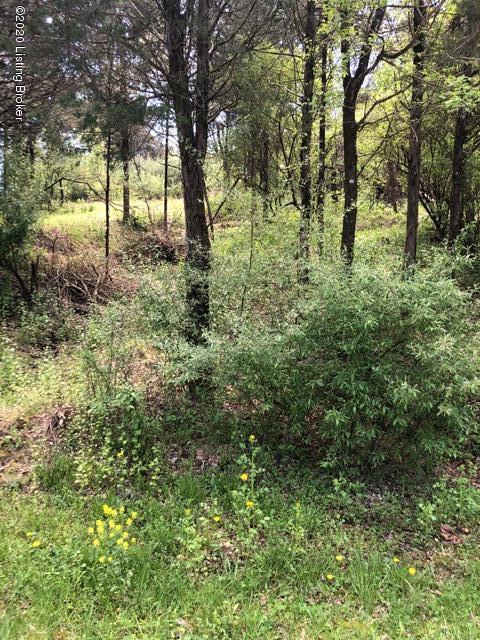 Lot 260A Cedarmore Rd, Bagdad, Kentucky image 4