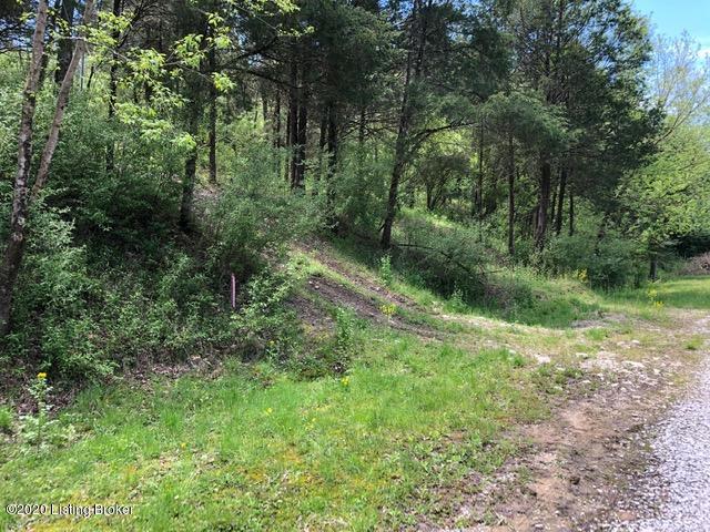 Lot 260A Cedarmore Rd, Bagdad, Kentucky image 5