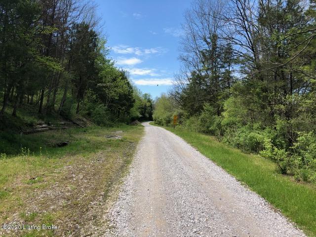 Lot 260A Cedarmore Rd, Bagdad, Kentucky image 2