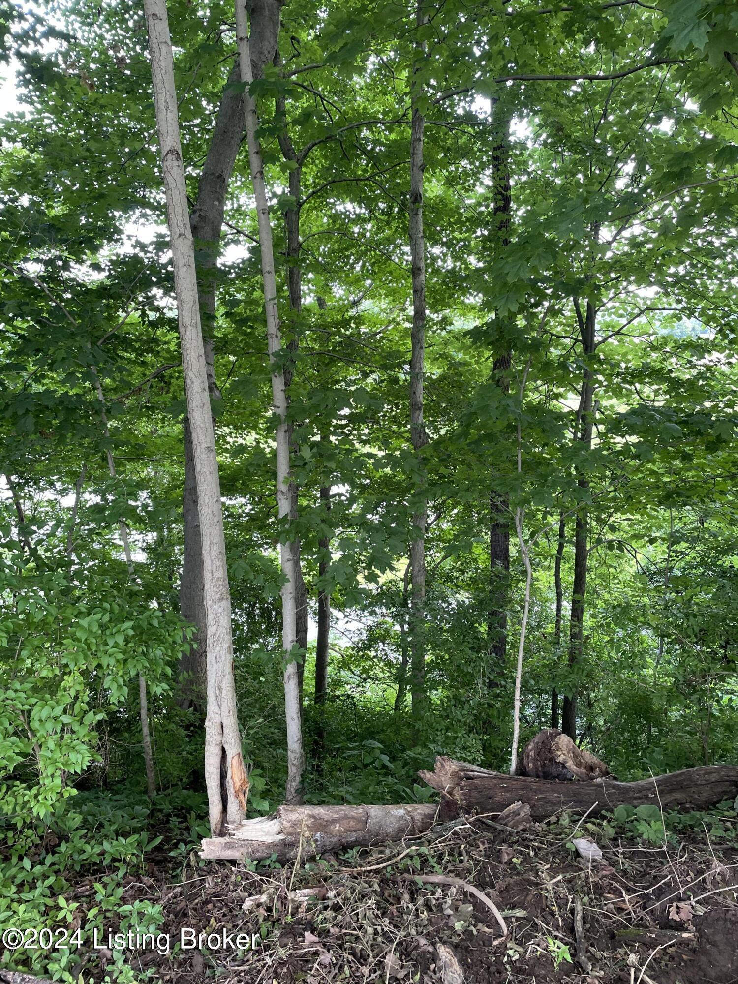 14&15 Meadow Lark Ln, Warsaw, Kentucky image 3