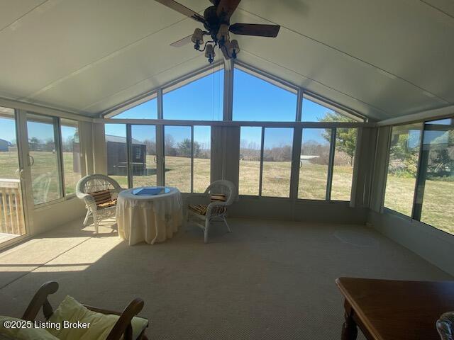 341 Manton Rd, Bardstown, Kentucky image 19