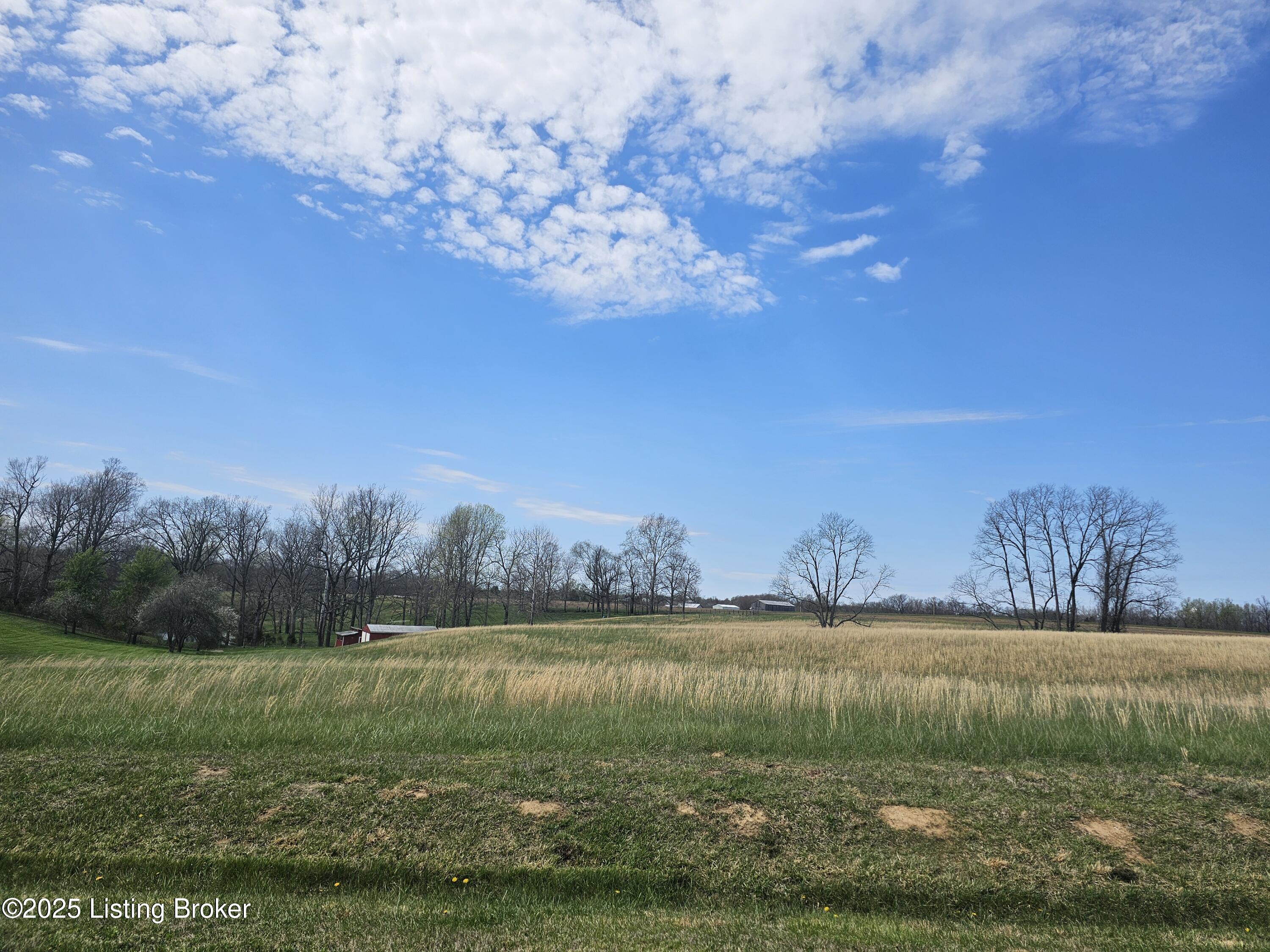 813 Joyce Ridge Rd, Milton, Kentucky image 35
