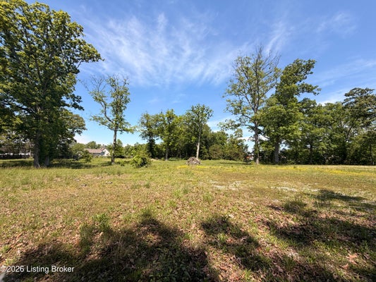 718 BEECH GROVE RD, SHEPHERDSVILLE, KY 40165 - Image 586d3263ec46b95e35d4b77f4adf151e/3677994946