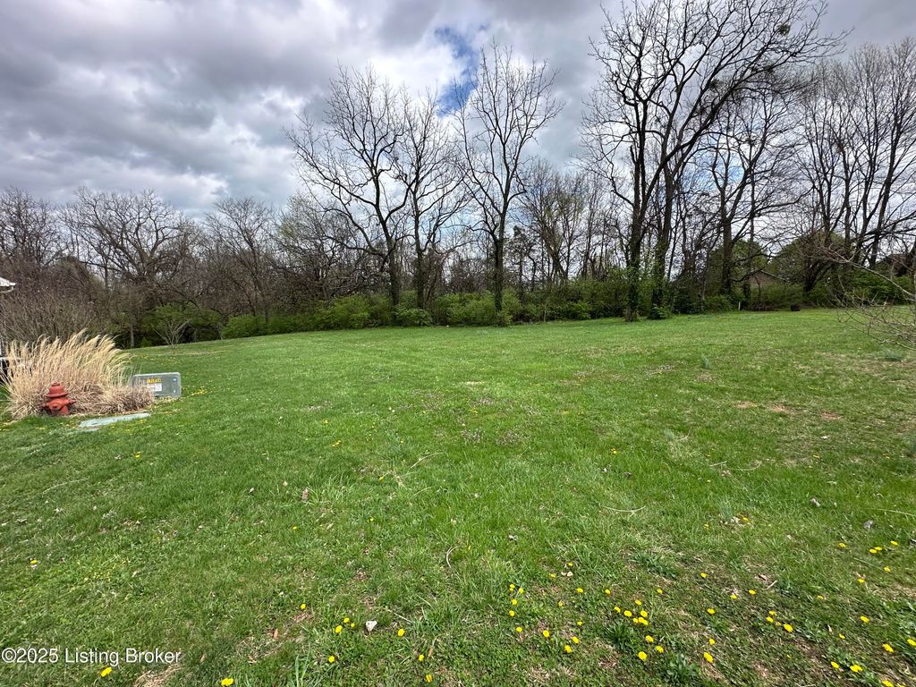 Photo of 926 Woods Run Rd, Bardstown, KY 40004 (MLS # 1704954)