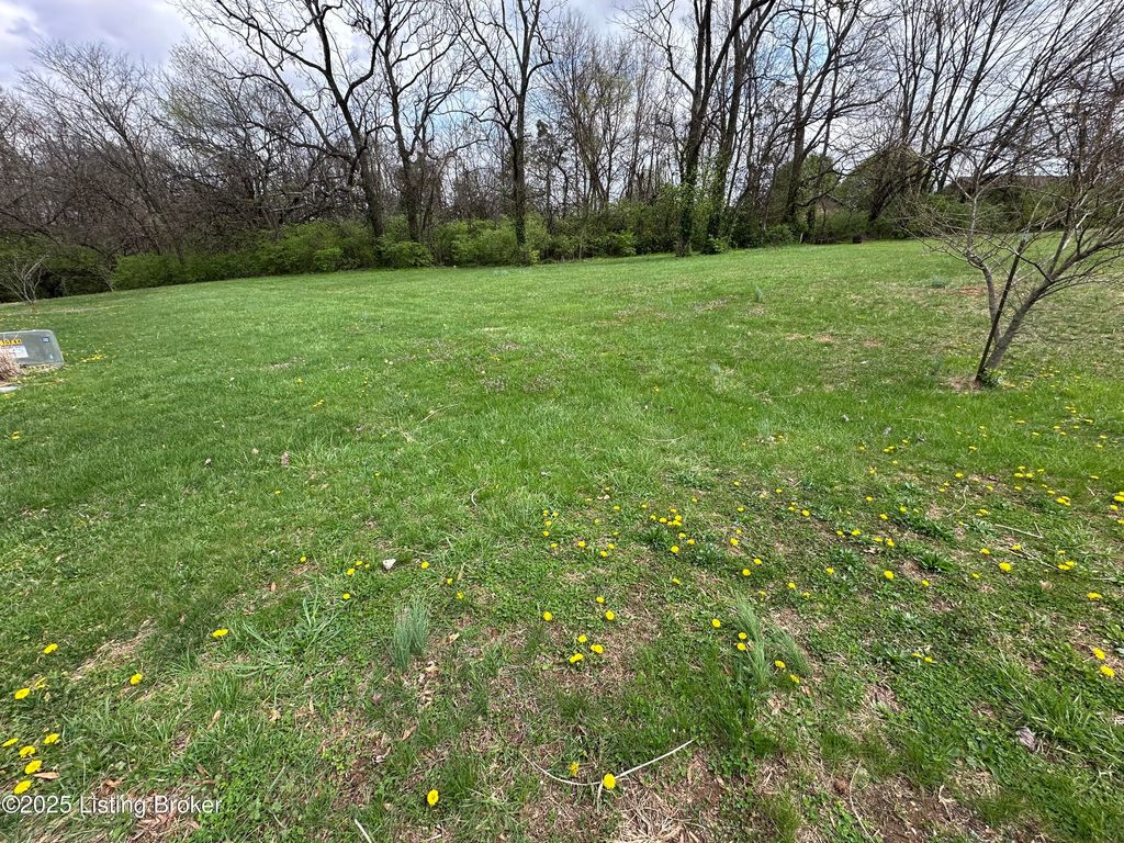 Photo of 926 Woods Run Rd, Bardstown, KY 40004 (MLS # 1704954)