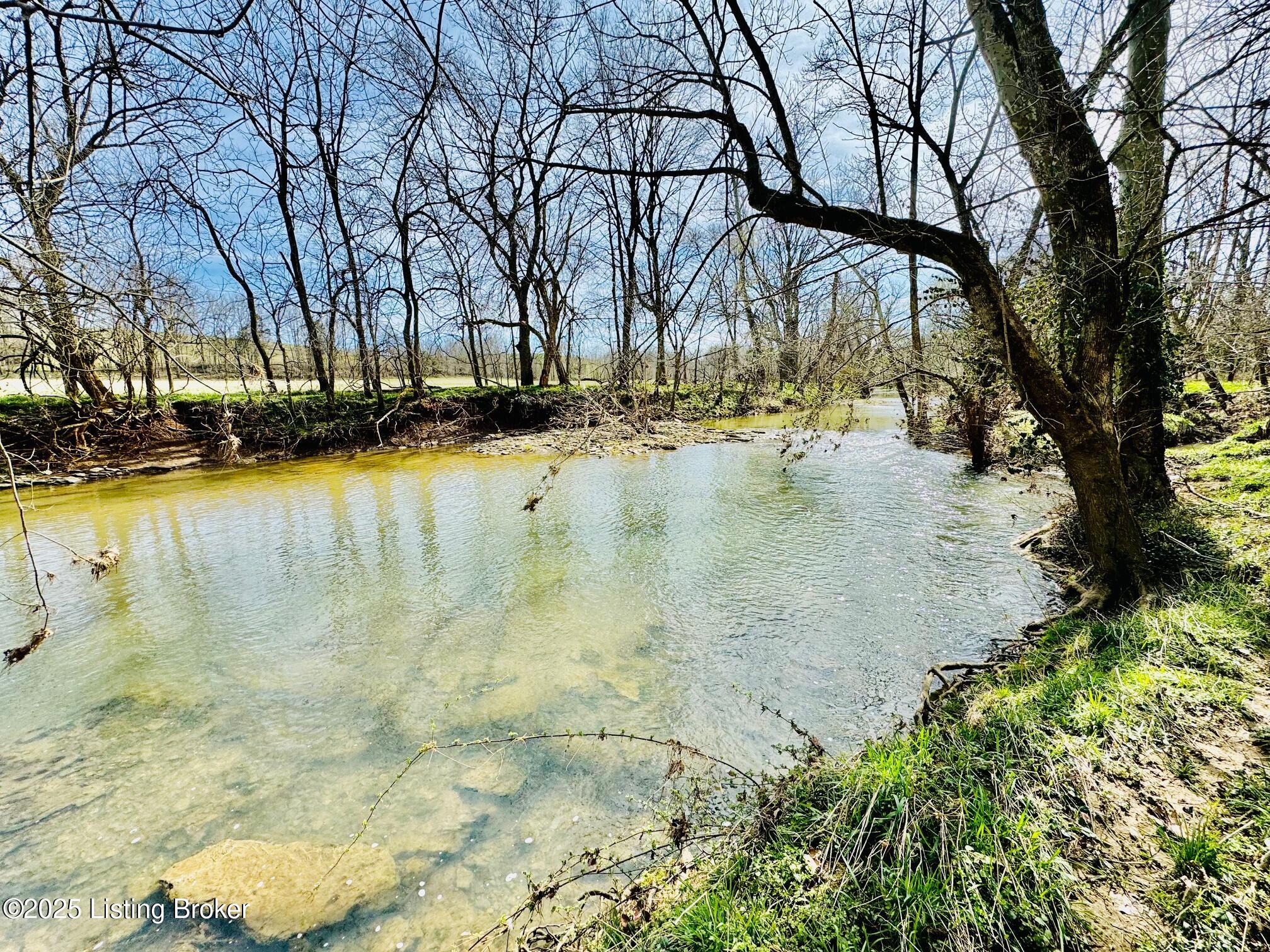1000 Claybrooke Ln, Springfield, Kentucky image 8