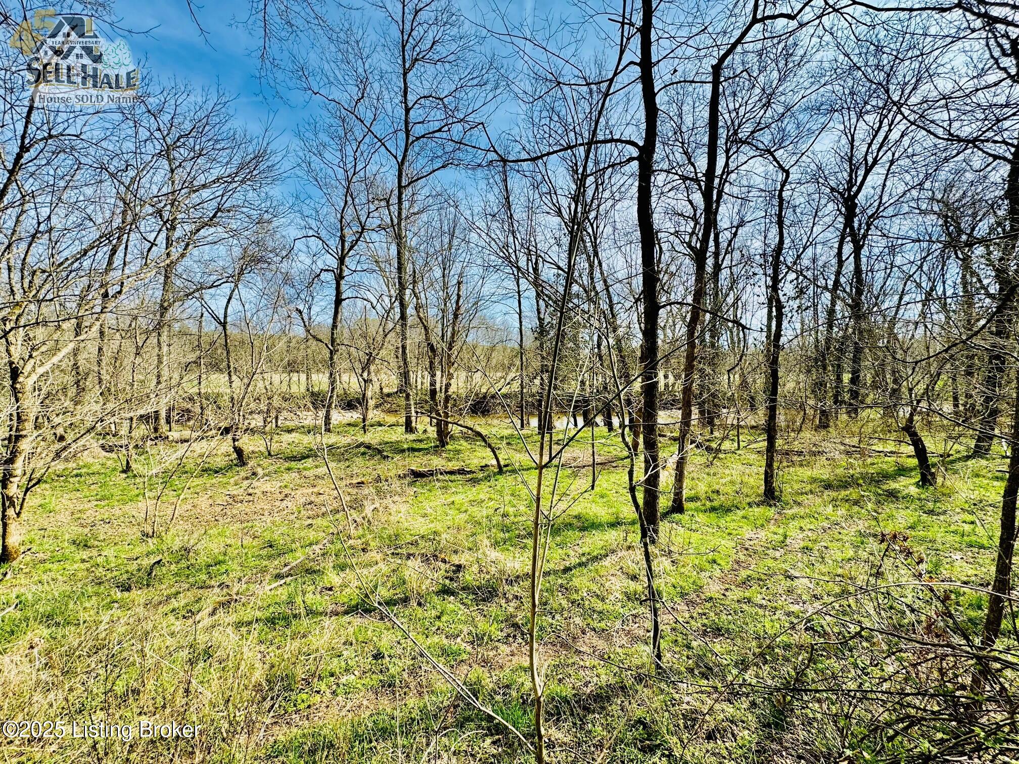 1000 Claybrooke Ln, Springfield, Kentucky image 6