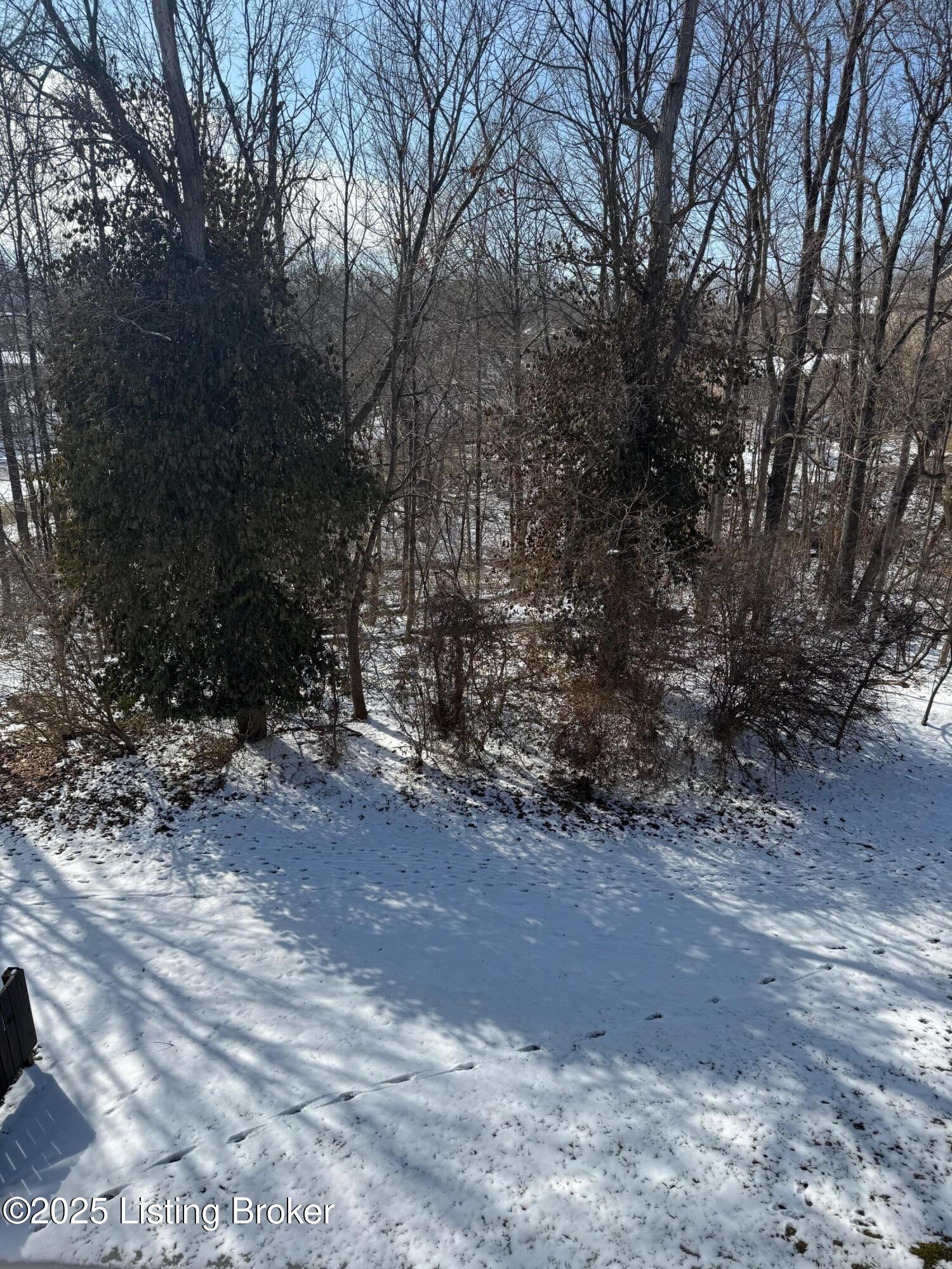 7073 Glen Kerry Ct, Florence, Kentucky image 31