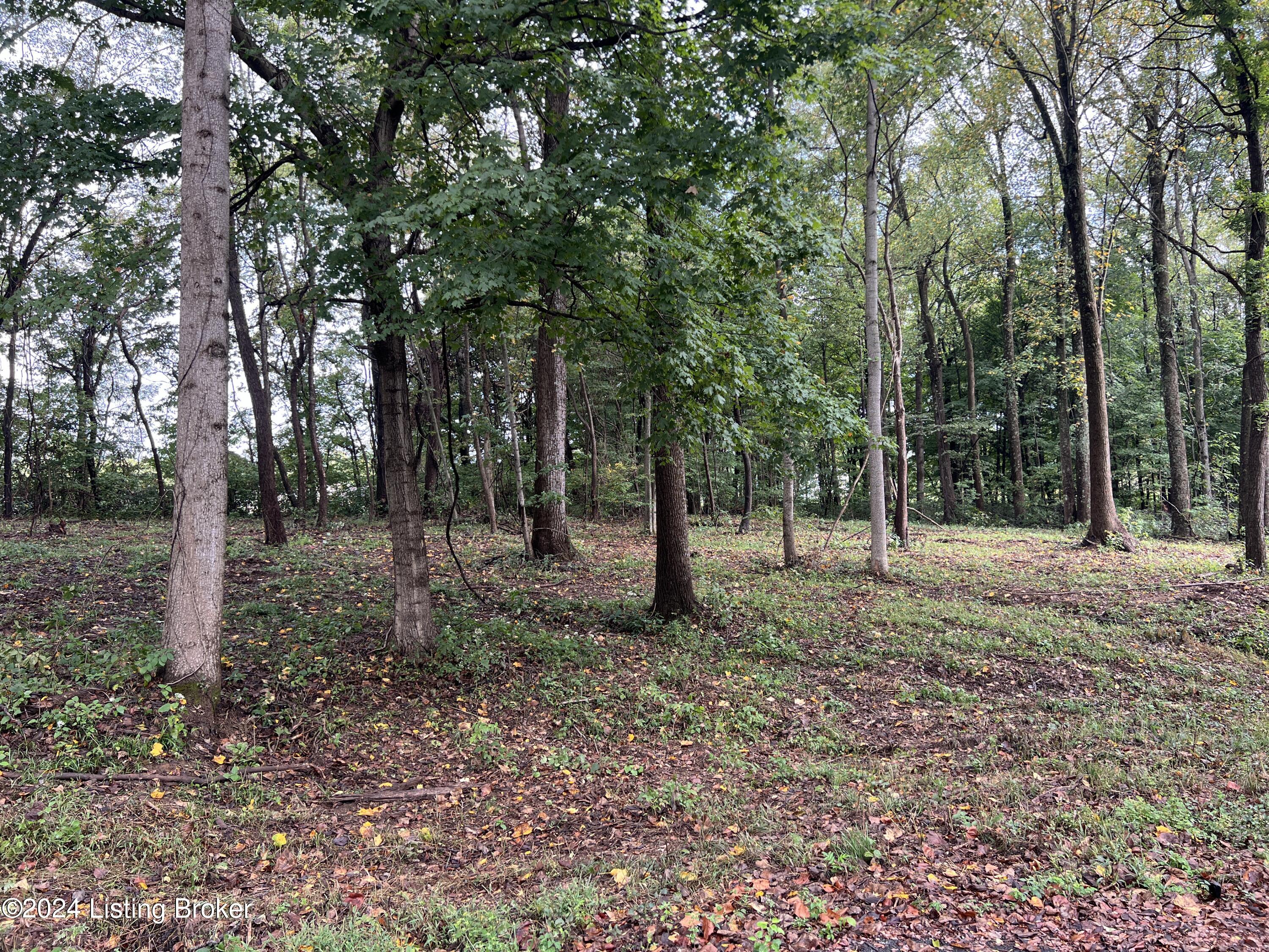 Lot 19 Dogwood Estates, Bedford, Kentucky image 1