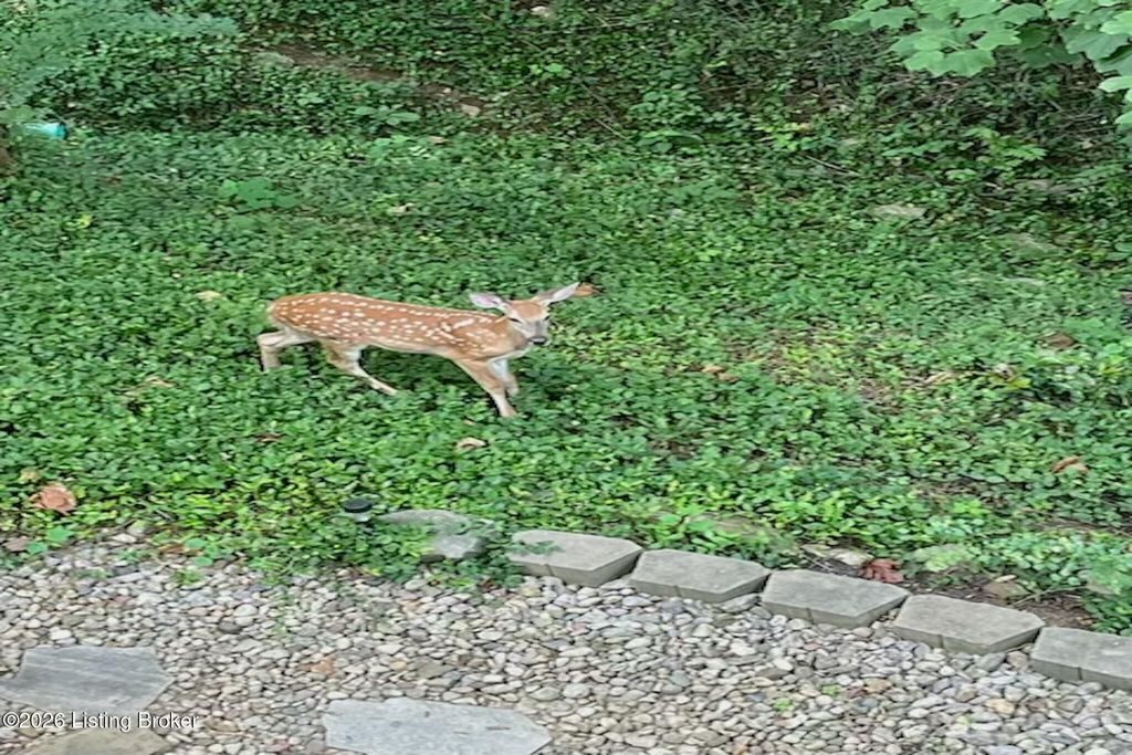 Photo of 750 Zorn Ave #52, Louisville, KY 40206 (MLS # 1710649)