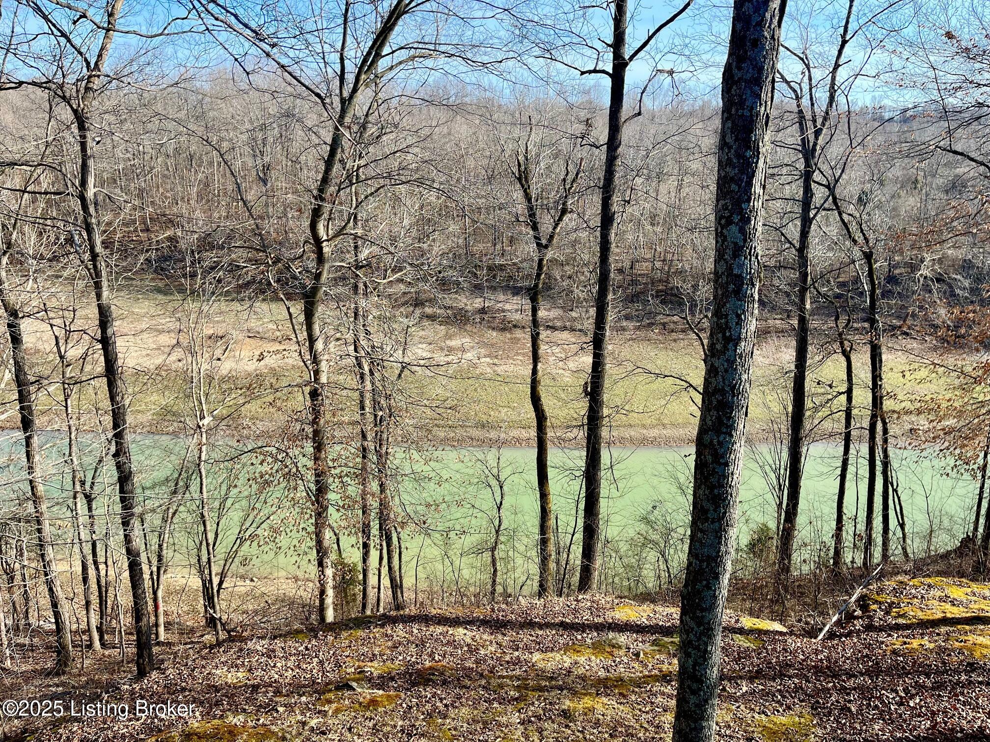 216 Peter Cave Heights Rd, Leitchfield, Kentucky image 47