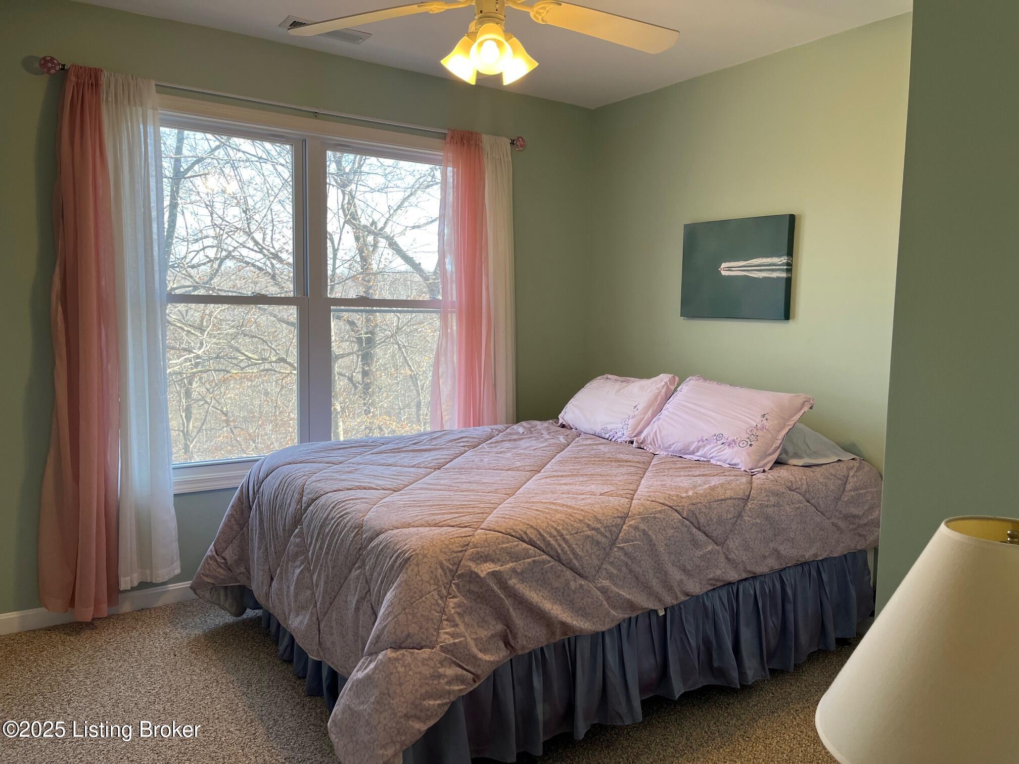 216 Peter Cave Heights Rd, Leitchfield, Kentucky image 24