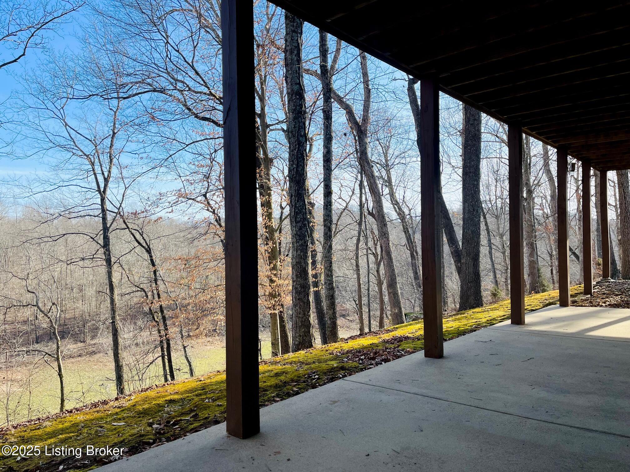 216 Peter Cave Heights Rd, Leitchfield, Kentucky image 44