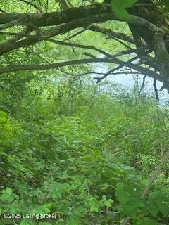850 Rice Ln, Taylorsville, Pennsylvania image 4