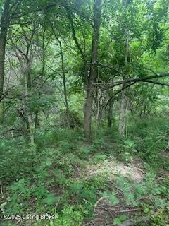 850 Rice Ln, Taylorsville, Pennsylvania image 6