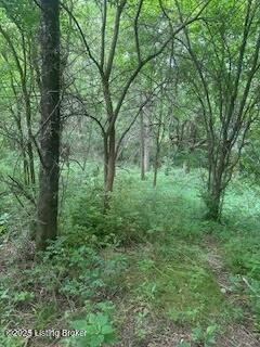 850 Rice Ln, Taylorsville, Pennsylvania image 5