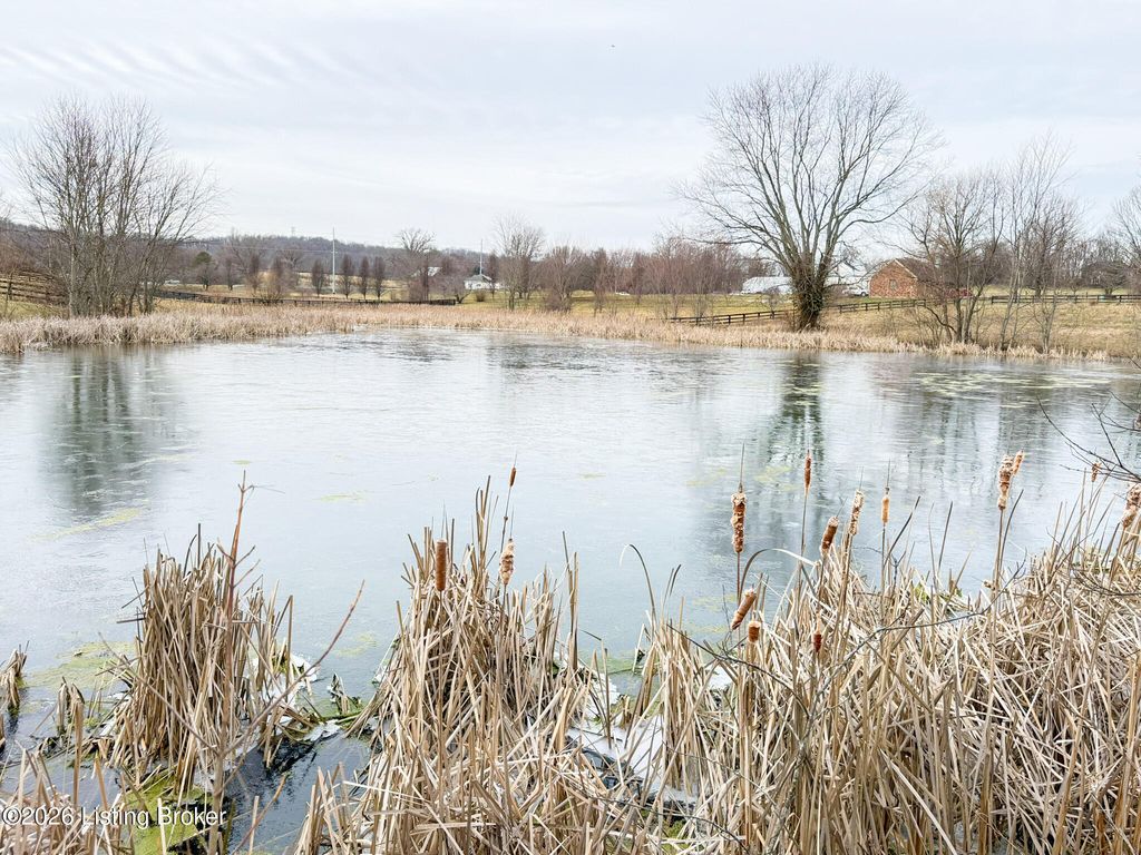 Photo of 133 Sacree Rd, Shelbyville, KY 40065 (MLS # 1709733)