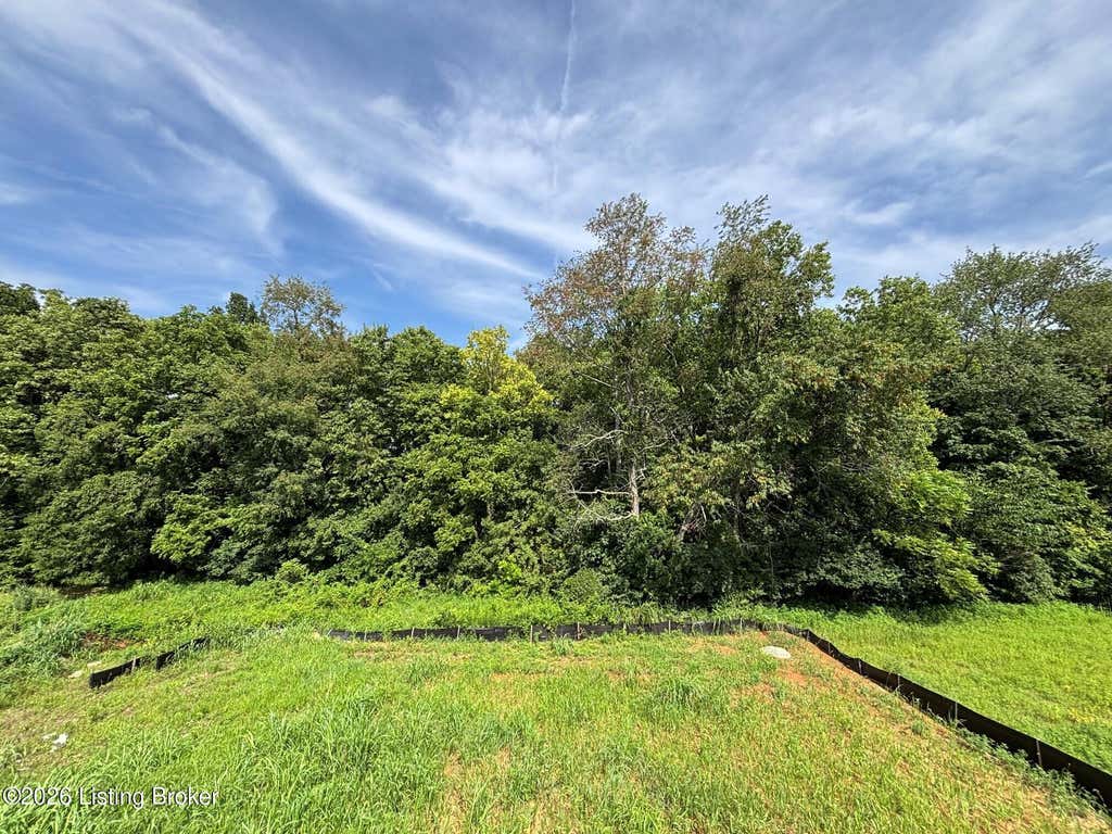 Photo of 1020 Dry Run Ct, Shelbyville, KY 40065 (MLS # 1724079)