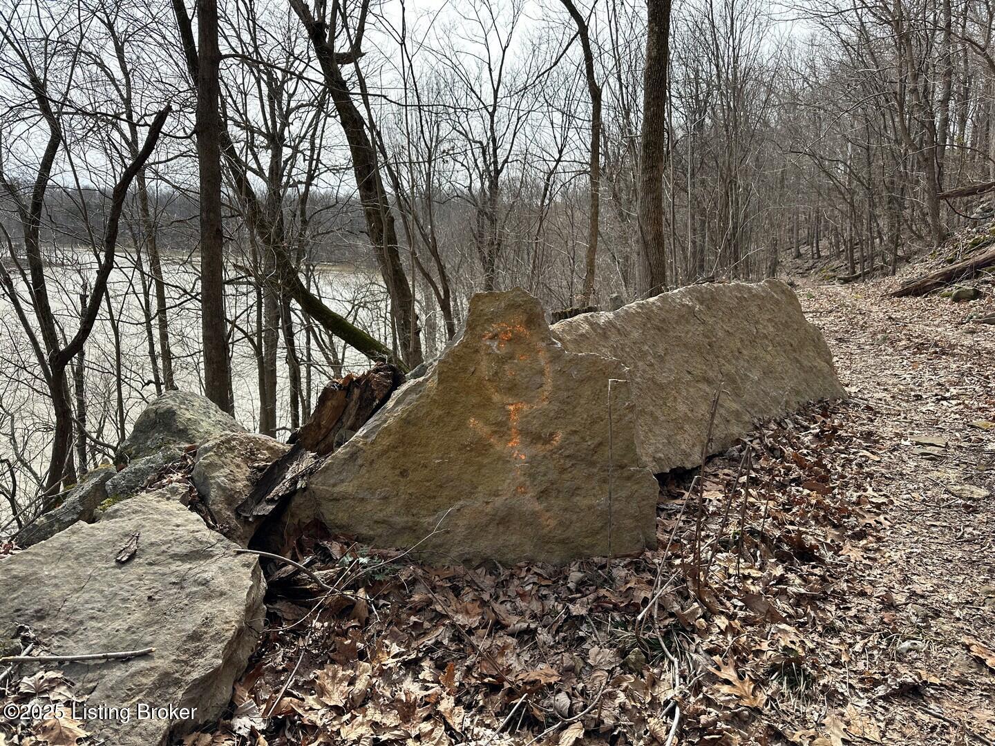 L10 1126 Thomason Cemetery Rd, Leitchfield, Kentucky image 9