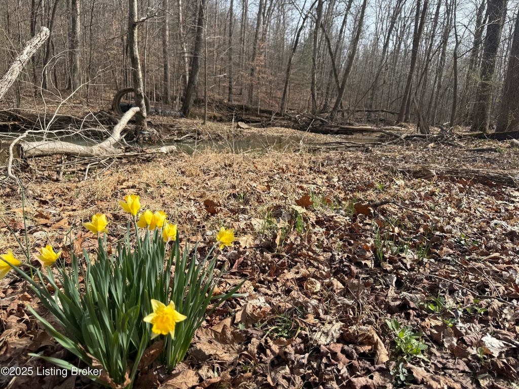 Photo of 394 Briarwood Dr, Leitchfield, KY 42754 (MLS # 1710948)