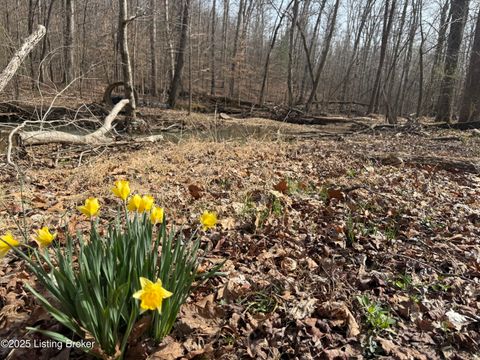 Homes For Sale - 394 Briarwood Dr<br/> Leitchfield, KY 42754