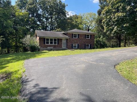 Homes For Sale - 246 Eva-michelle Ln<br/> Clermont, KY 40110