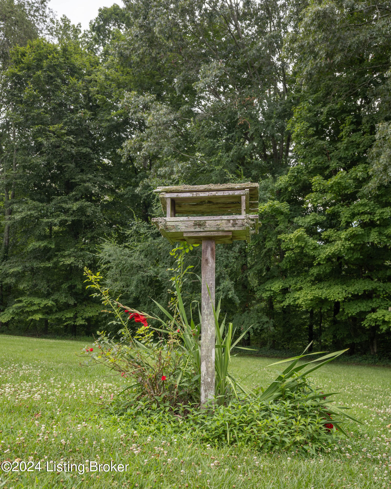 2449 Gentry Mill Rd, Russell Springs, Kentucky image 25