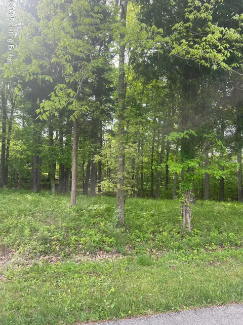 MLS: 1685990