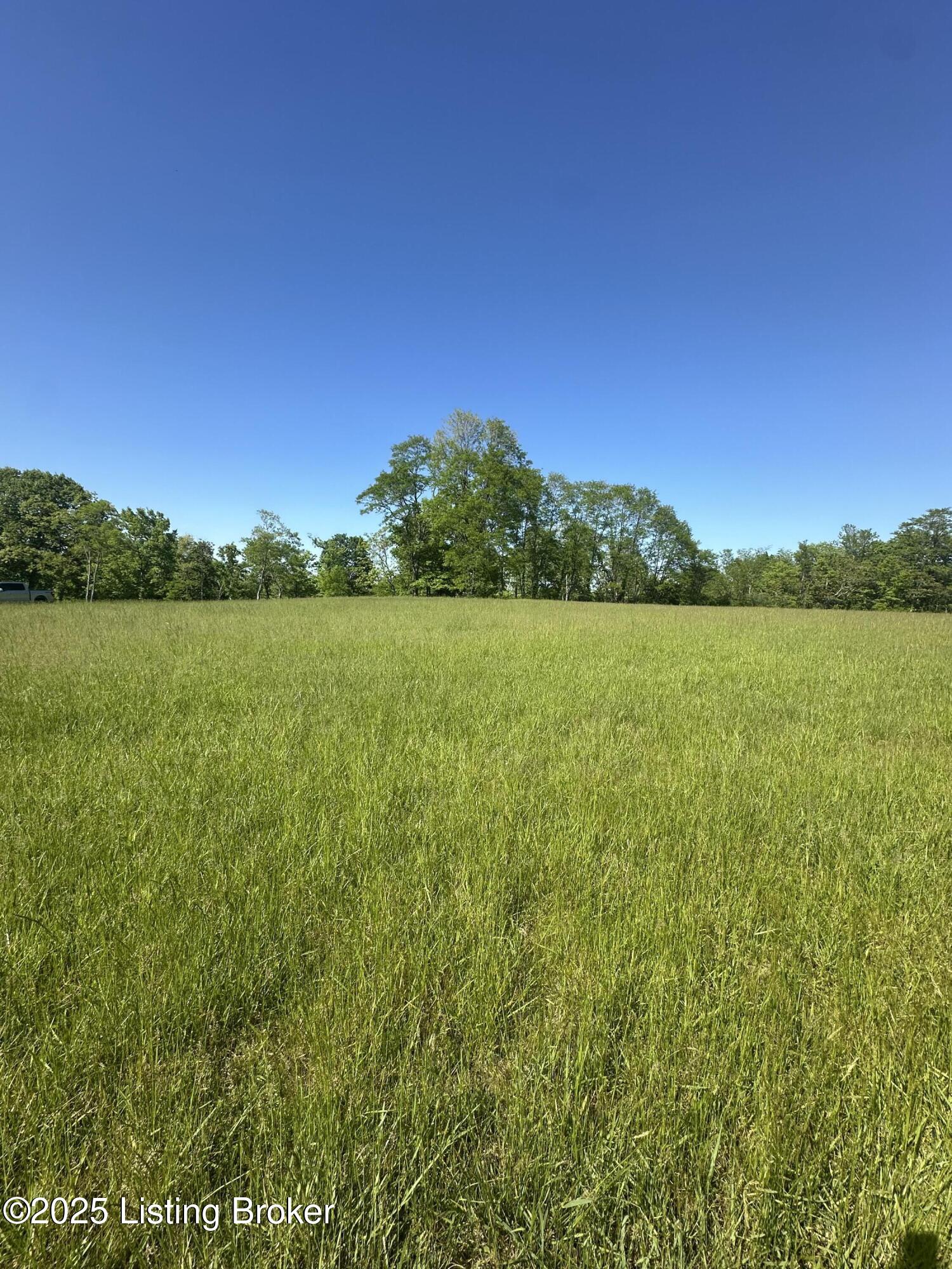 1530 Rebel Ridge Rd, La Grange, Kentucky image 3