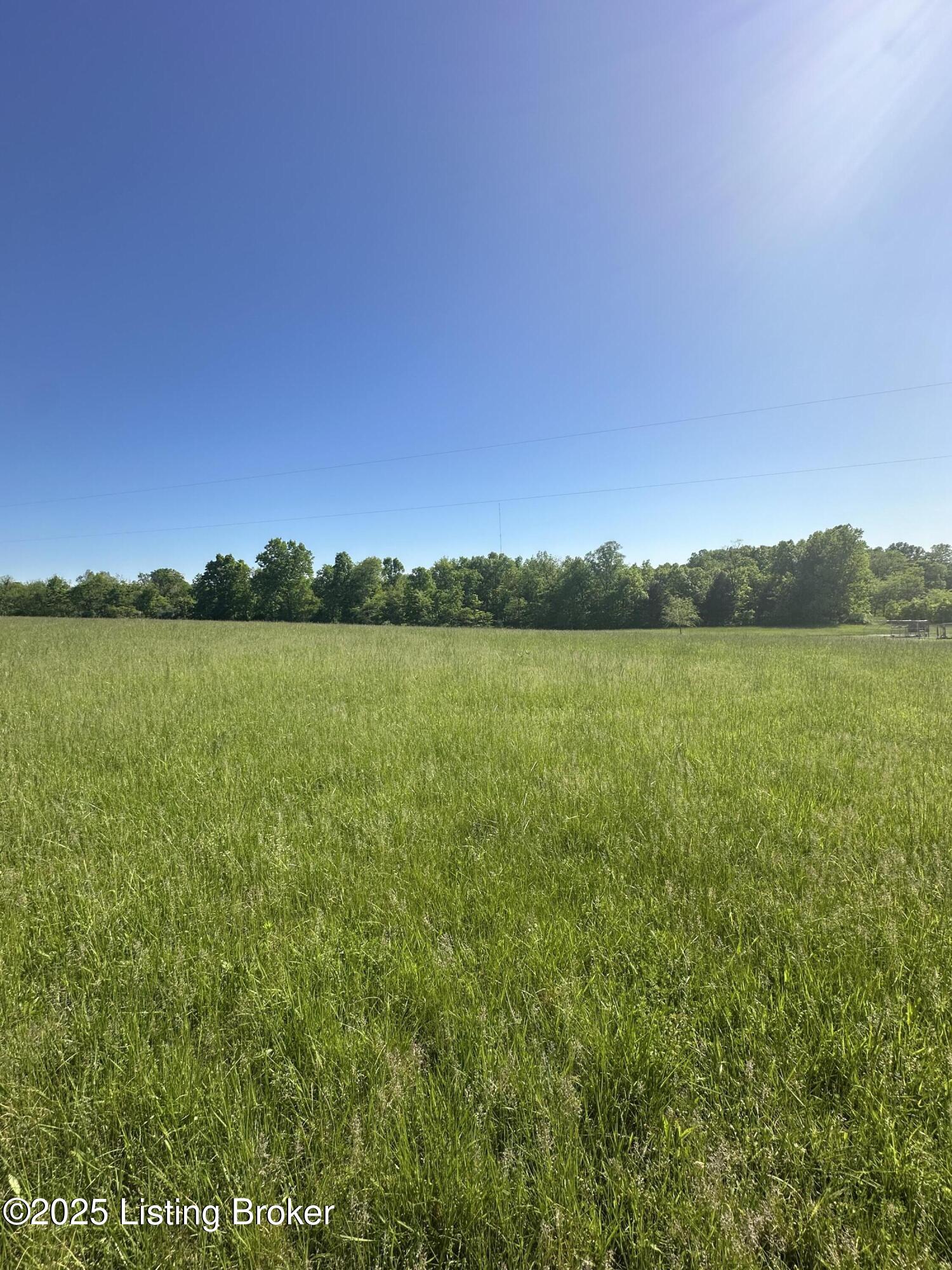 1530 Rebel Ridge Rd, La Grange, Kentucky image 2